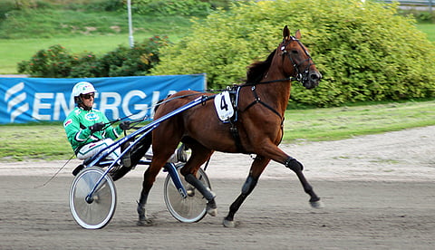 Mistelle on takarivistäkin oiva ideavarma Poriin.