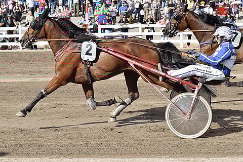 Johnny English pystyy voittoon.