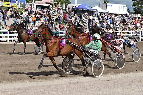 Willow Pride on sopiva keulavarma Lappeen Toto5-peliin.