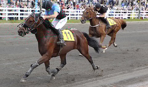 Jenni Kaija kiidätti Licence Holderin kohti SM-voittoa. Kuva: Totofoto