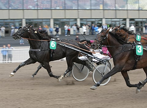 Snowdon pyrkii illalla takaisin voittokantaan.