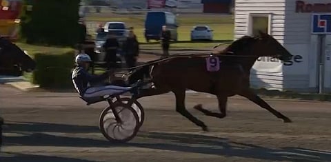 Capitol Hill etenee voittoon, Twist of Fate nousee kakkoseksi. Kuva: ATG Live