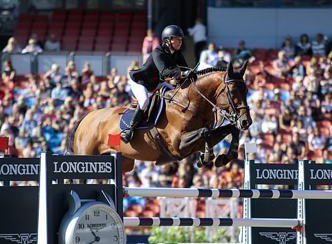 Juulia Jyläksen Finishing Touch Wareslage on isojen luokkien hevonen.