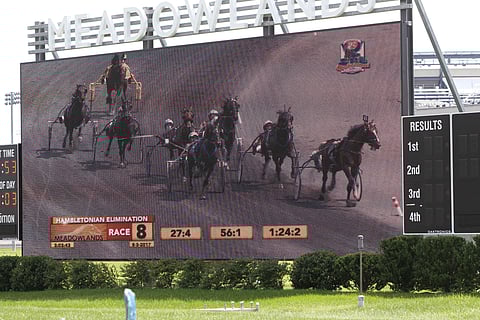 Kohtalokas laukka kärkipaikalta jättiscreenillä. Long Tom pelattiin voimakkasti lähtönsä kakkossuosikiksi kertoimella 4,0. Se olisi voittanut ilman laukkaa loppusuoran alussa. Kuva: Totofoto