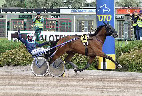 Dominique Halm on erittäin maistuva ideavarma uudenvuodenaaton Toto5-peliin. Peliaika päättyy klo 17.15.