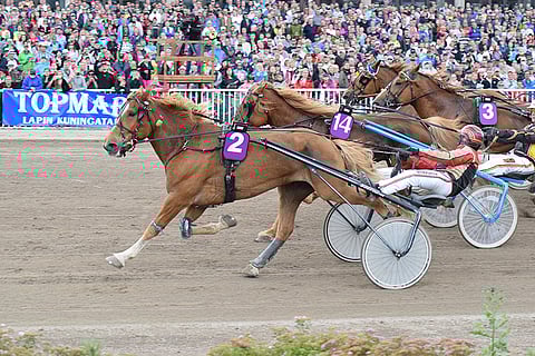 Hissun Aarre voitti kuninkuusraviviikonloppuna Vermossa.