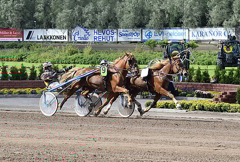 Vermossa upeasti Vapperille vastannut Tulinko on ideasysteemin toinen varma.