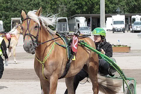 Vieskerin Virva on tammakilvan päätösmatkan mainio jokeri. Kuva: Jarno Unkuri