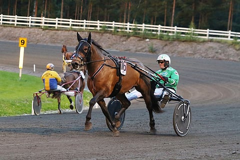 Ari Moilanen ohjasti uransa lähdön numero 50 000 suomenhevostamma Amoriinilla.