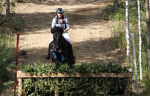 Taito ja kokemus jyräsivät - Knuutilan Veikolle viides kenttämestaruus