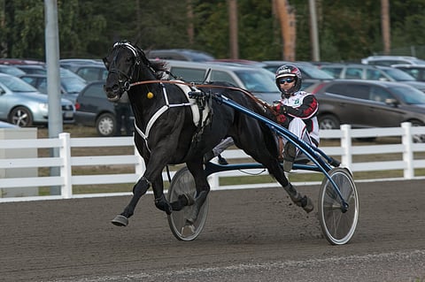 Hotshot Luca voitti Oulu Expressin ylivoimaisella suorituksella.