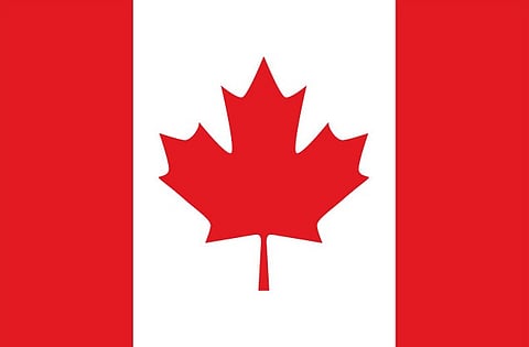 Odds On Amethyst vuoden nopein Woodbinessa