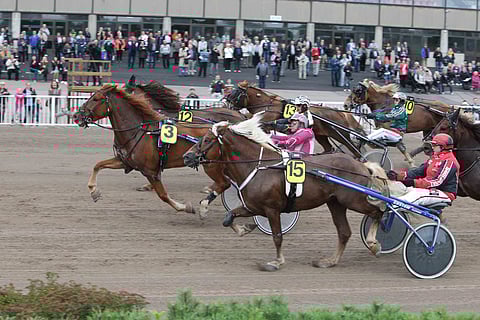 Vihjeen ideavarma on Korven Liideri, jonka ohjissa jatkaa Antti Teivainen. Kaudella 2017 valjakko otti Vermossa neljä voittoa.