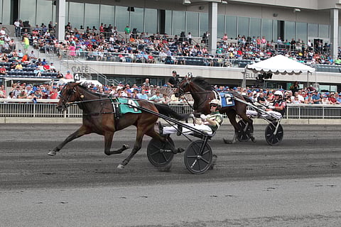 Manchego ja Phaetosive ovat molemmat mukana Hambletonian Oaksin karsinnoissa. Kuva: Totofoto