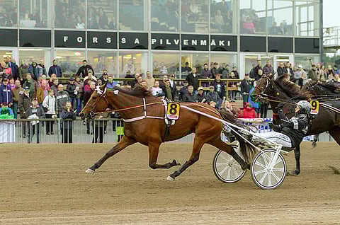 Dionne Sisu erottui edukseen Tammavaltikan maalisuoran taistossa.