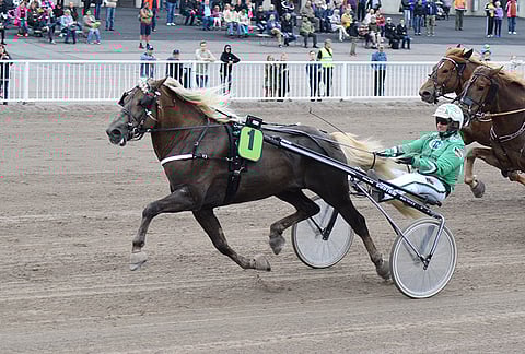 T.T. Avot joutuu jäämään pois Joensuun Ravilauantaista.