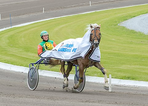 Antti Tupamäen ohjastama Kaarnalii on tottunut voittamaan.