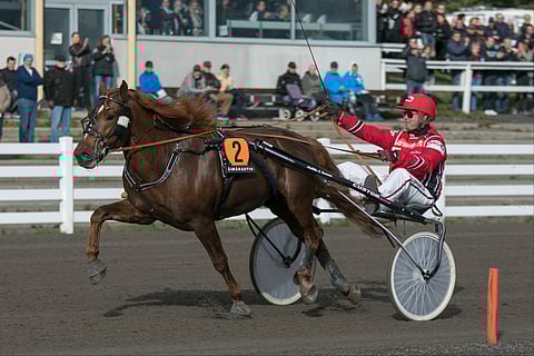 Oulu Express -sankari Vixus on murtautumassa avoimelle tasolle.