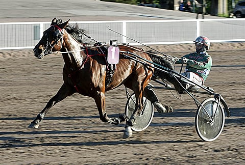 Word Class Lindy viihtyy pikamatkalla eturivissä.