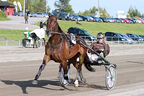 Ideavihjeen varmaa Cicciolina Sisua valmentaa Isto Kuisma. Kuva: Jarno Unkuri.