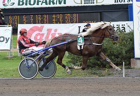 Magic Monday -hevonen on Porin päätöslähdössä juokseva Merran Roihu. Se saa rattailleen tänään Santtu Raitalan.