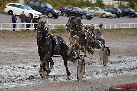 Run For Royalty on maistuva ideavarma jackpot-kierrokselle.