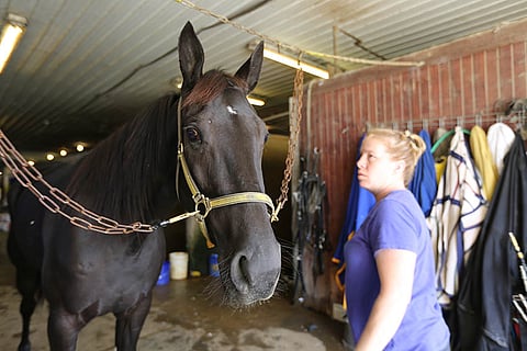 Tammojen ME:n haltija on amerikkalainen Hannelore Hanover.