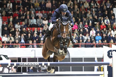 Ruotsalaiset estehevoset ovat kansaivälistä huipputasoa, nyt ne hyppäävät mukaan kriteriumhuutokauppaan. (Kuva: Totofoto)