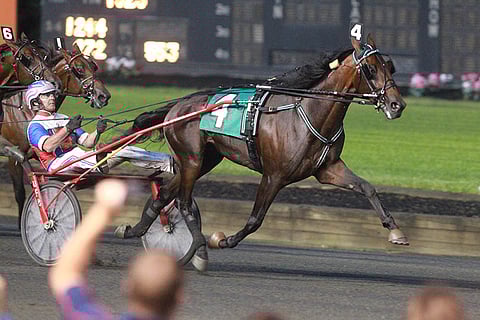Uncle Peterin poika oli Lexingtonin huutokaupan päätösillan kallein ravurivarsa,