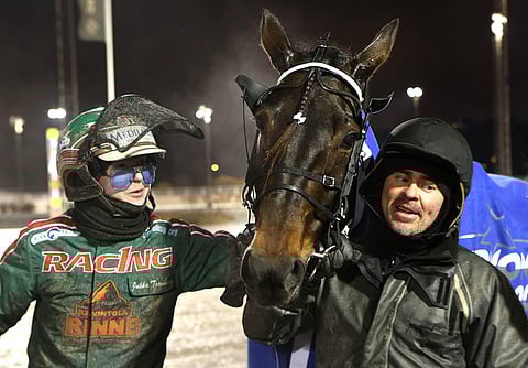 Grainfield Oliver on tuonut lukuisia ilon hetkiä Jukka Torviselle ja Toni Siposelle.