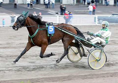 Juho Ihamuotilan valmentama Reason To Believe on kyvykäs nelivuotias, joka hyvänä päivänään tuskin kohtaa parempaansa tänään.