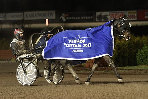 Fakir Victory on pystynyt voittoon myös Vermossa.