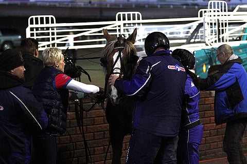 Ponutella selvisi hurjan näköisestä tilanteesta säikähdyksellä. Kuva: Roosa Lindholm