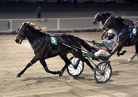 Jukka Torvinen onnistui High Royal Highnessin kanssa nappiin.