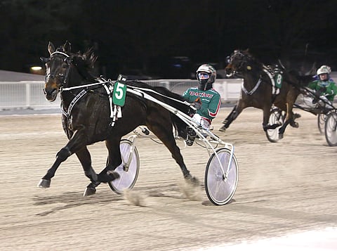 Tuttu näky Vermossa: Jukka Torvisen ohjastama Grainfield Oliver on voittanut ravilähdön.