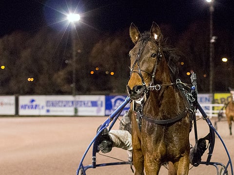 Laura Vixi vei itsenäisyyspäivänä T65-lähtönsä aikaan 13,8a.