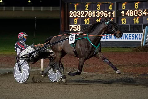 T.Rexin kauden 15. kilpailu päättyi jälleen täysosumaan.