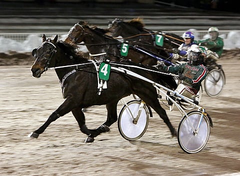 Grainfield Oliver on Vermon kestomenestyjä.