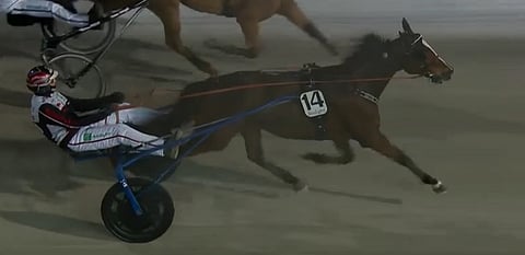 Evin Boko ja Mika Forss lipuvat ykköseksi. Kuva: ATG Live