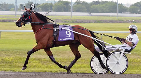 Harper Blue Chip oli kolmas Hambletoniassa vuonna 2014. Sinä vuonna pääpotin vei Trixton, ja Nuncio oli toinen. Kuva: Stefan Melander