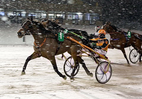 Ranch Newman löi Toto65-kierroksen pelipankin.