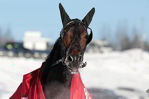 Adrienne's Amin varaan on hyvä rakentaa illan Toto4-pelit.