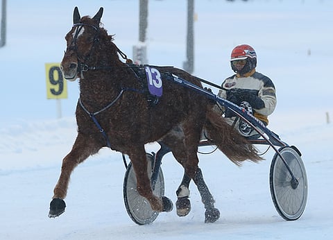 Lauri Biskopin valmennuksessa nykyisin kilpailevaa Tuikun Pojua ajoi Jyväskylän avauskohteessa Risto Tupamäki.