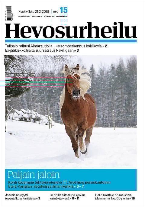 8-vuotias ori T.T. Avot juoksi 7 voittoa sekä viime että toissa kaudella. Kannen kuva: Annika Nisonen.