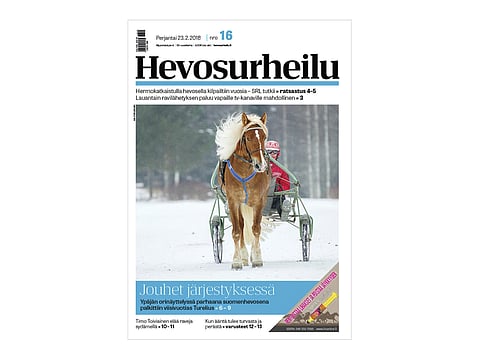 Turelius oli Ypäjän orinäyttelyn suomenhevosten ykkönen. Kuva: Ada Pykäläniemi.