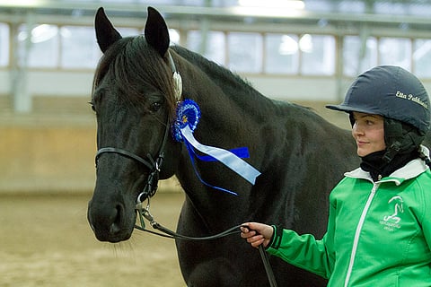 Hotshot Luca ja Etta Pakkanen valloittivat Umåkerin. Kuva: Ada Pykäläniemi