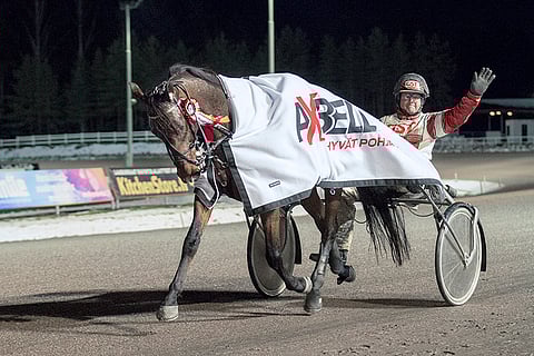 Jari Kinnunen on menestynyt T76-tasolla Pascha Tilly. Nyt hän hakee T65-voittoa sen pikkuveljellä Quattro Tillylla, joka juokseen Magic Mondayn jackpoti-kierroksen neljännessä kohteessa.