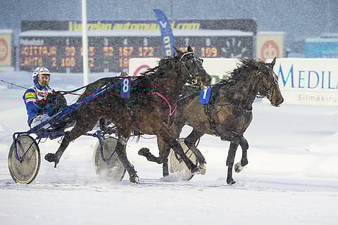 Essi Van Press (nro 8) toi Miika Tenhuselle uran 100. täysosuman ohjastajana. (arkistokuva)