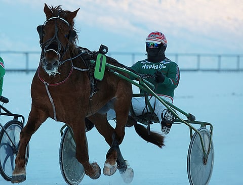 Issakan Poutaa on kuskannut moni ohjastaja. Tässä arkistokuvassa oriin kyydistä nauttii Hannu Torvinen.