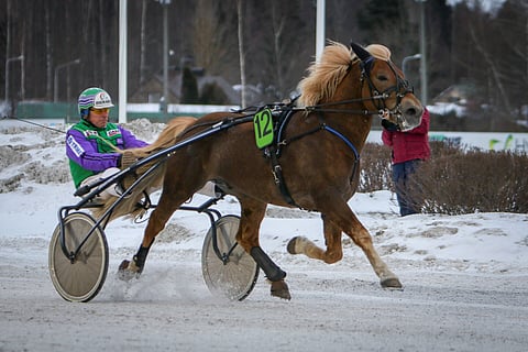 Kolmen viikon kuluttua järjestettävä Valkeala-ajo saattaa olla Costellon seuraava kilpailu.